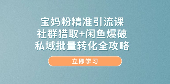宝妈粉精准引流课，社群猎取+闲鱼爆破，私域批量转化全攻略-AI学习资源网