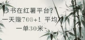 抄书在小红薯平台?平均一单30米,一天收益几张!-AI学习资源网