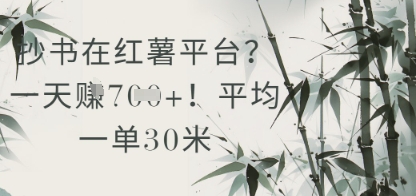 抄书在小红薯平台？平均一单30米，一天收益几张！-AI学习资源网