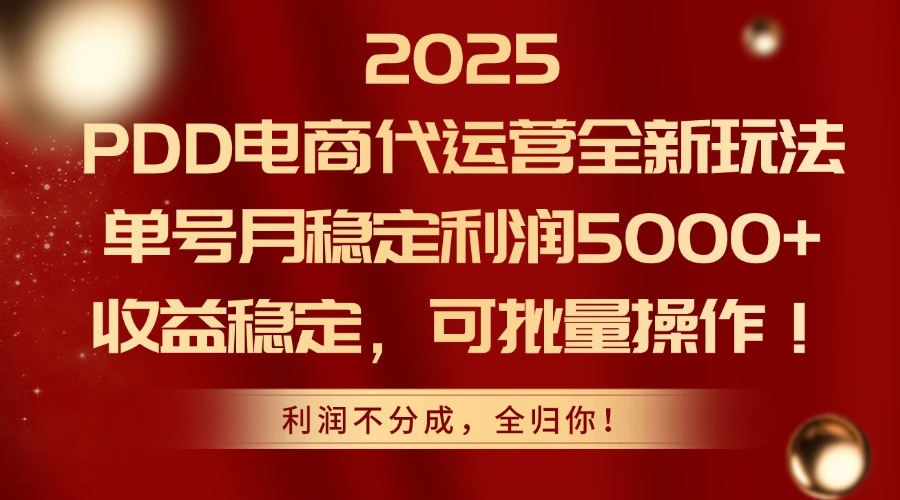 2025PDD电商代运营全新玩法，单号月稳定利润5000+，收益稳定，可批量操作-AI学习资源网