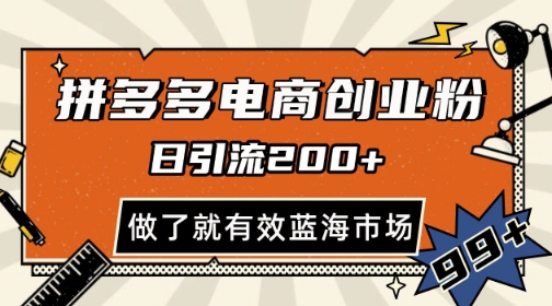 拼多多引流电商创业粉，日引200+，可矩阵放大，做了就有效【揭秘】-AI学习资源网