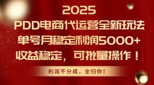 2025PDD电商代运营全新玩法,单号月稳定利润5000+,收益稳定,可批量操作-AI学习资源网