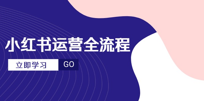 小红书运营全流程，爆款选题文案，视频制作技巧，进阶达人宝典-AI学习资源网
