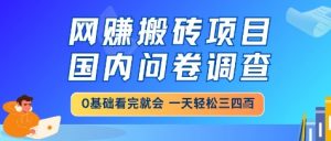 网创搬砖项目,国内问卷调查,小白轻松上手,一天三四张的也不难,干就完了【揭秘】-AI学习资源网