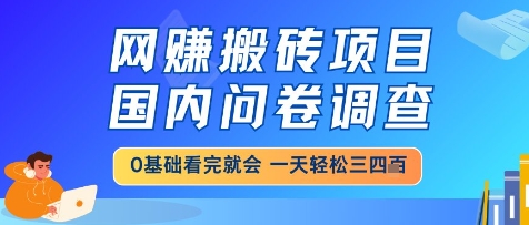 网创搬砖项目，国内问卷调查，小白轻松上手，一天三四张的也不难，干就完了【揭秘】-AI学习资源网
