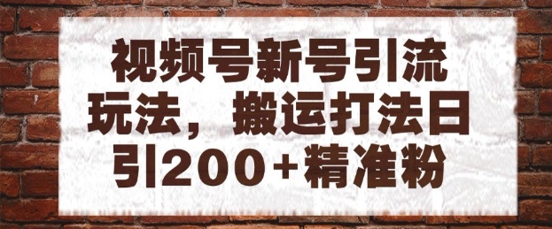 视频号新号引流玩法，搬运打法日引200+精准粉，可矩阵放大【揭秘】-AI学习资源网