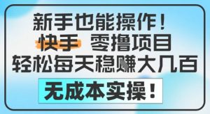 新手也能操作,快手零撸挣米,轻松每天挣2-5张,完全无成本-AI学习资源网
