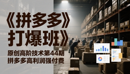 《拼多多打爆班》原创高阶技术第44期，拼多多高利润强付费-AI学习资源网