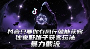 抖音只要你有同行就能获客,独家野路子获客玩法,暴力截流【揭秘】-AI学习资源网