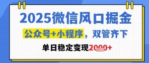 2025微信风口掘金,公众号+小程序双管齐下,单日稳定变现1k+【揭秘】-AI学习资源网