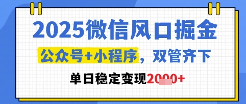 2025微信风口掘金，公众号+小程序双管齐下，单日稳定变现1k+【揭秘】-AI学习资源网