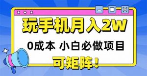 玩玩手机月入20000+,0成本小白必做项目,可矩阵-AI学习资源网