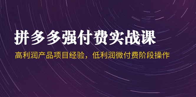 拼多多强付费实战课-44期，高利润产品项目经验，低利润微付费阶段操作-AI学习资源网