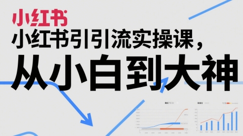 小红书引流实操课，从小白到大神-AI学习资源网
