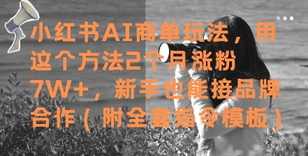 小红书AI商单玩法，用这个方法2个月涨粉7W+，新手也能接品牌合作(附全套指令模板)-AI学习资源网