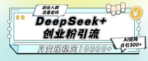 DeepSeek+创业粉精准引流,全新分享课4.0玩法,AI矩阵日引300+,多种变现方式,稳定月入1W-AI学习资源网