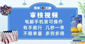 审核视频,电脑手机皆可操作,有手就行,几秒一单,不限单量,多劳多得【揭秘】-AI学习资源网