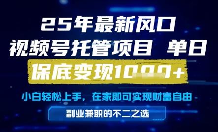 25年最新风口，视频号托管项目，单日保底变现1k+，手把手教学【揭秘】-AI学习资源网