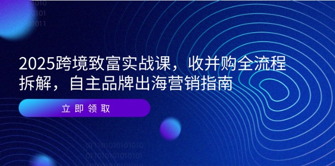 2025跨境致富实战课，收并购全流程拆解，自主品牌出海营销指南-AI学习资源网
