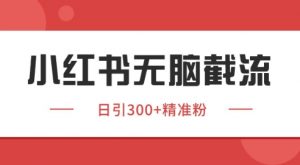 小红书截流同行客源,独家野路子获客玩法 日引200+暴力获客【揭秘】-AI学习资源网