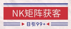 小红书某音NK赛道引流获客 自热矩阵日引200+【揭秘】-AI学习资源网