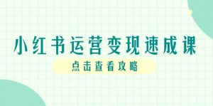 小红书运营变现速成课,账号搭建到暴力起号,个人IP全流程指南-AI学习资源网