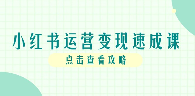 小红书运营变现速成课，账号搭建到暴力起号，个人IP全流程指南-AI学习资源网