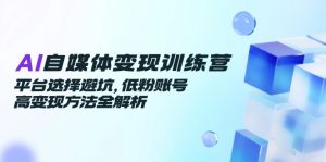 AI自媒体变现训练营,平台选择避坑,低粉账号高变现方法全解析-AI学习资源网
