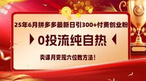 25年6月拼多多最新日引300+付费创业粉，0投流纯自热 卖课月变现六位数方法-AI学习资源网