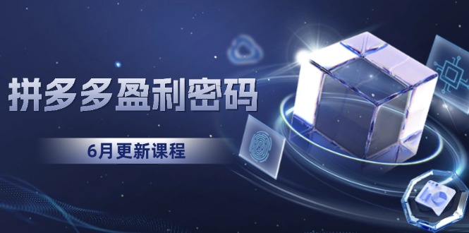 拼多多盈利密码：从烧钱推广到印钞模型，底层逻辑重构指南(6月更新-AI学习资源网