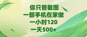 你只管截图,一部手机在家做,一小时120,-天500+-AI学习资源网