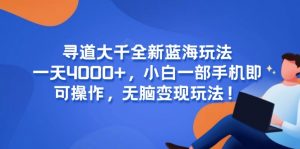寻道大千全新蓝海玩法,一天4000+,小白一部手机即可操作,无脑变现玩法!-AI学习资源网