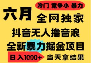 25年6月高爆抖音无人直播最新撸音浪掘金项目,小白可做,无脑日入1k+,门槛低可批量矩阵【揭秘】-AI学习资源网