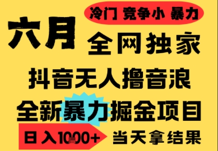 25年6月高爆抖音无人直播最新撸音浪掘金项目，小白可做，无脑日入1k+，门槛低可批量矩阵【揭秘】-AI学习资源网
