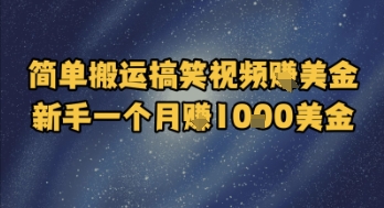 简单搬运搞笑视频挣美金，新手一个月入1k美金-AI学习资源网