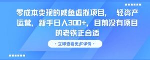 零成本变现的咸鱼虚拟项目, 轻资产运营,新手日入3张+,目前没有项目的老铁正合适-AI学习资源网