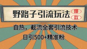 2024首发野路子引流玩法截流自热全平台打法,全自动引流【日引2000+精准客户】-AI学习资源网