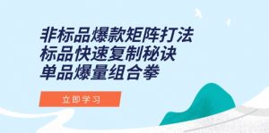 非标品爆款矩阵打法,标品快速复制秘诀,单品爆量组合拳-AI学习资源网
