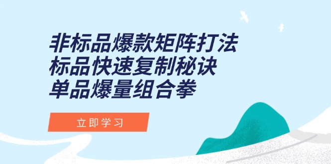 非标品爆款矩阵打法，标品快速复制秘诀，单品爆量组合拳-AI学习资源网