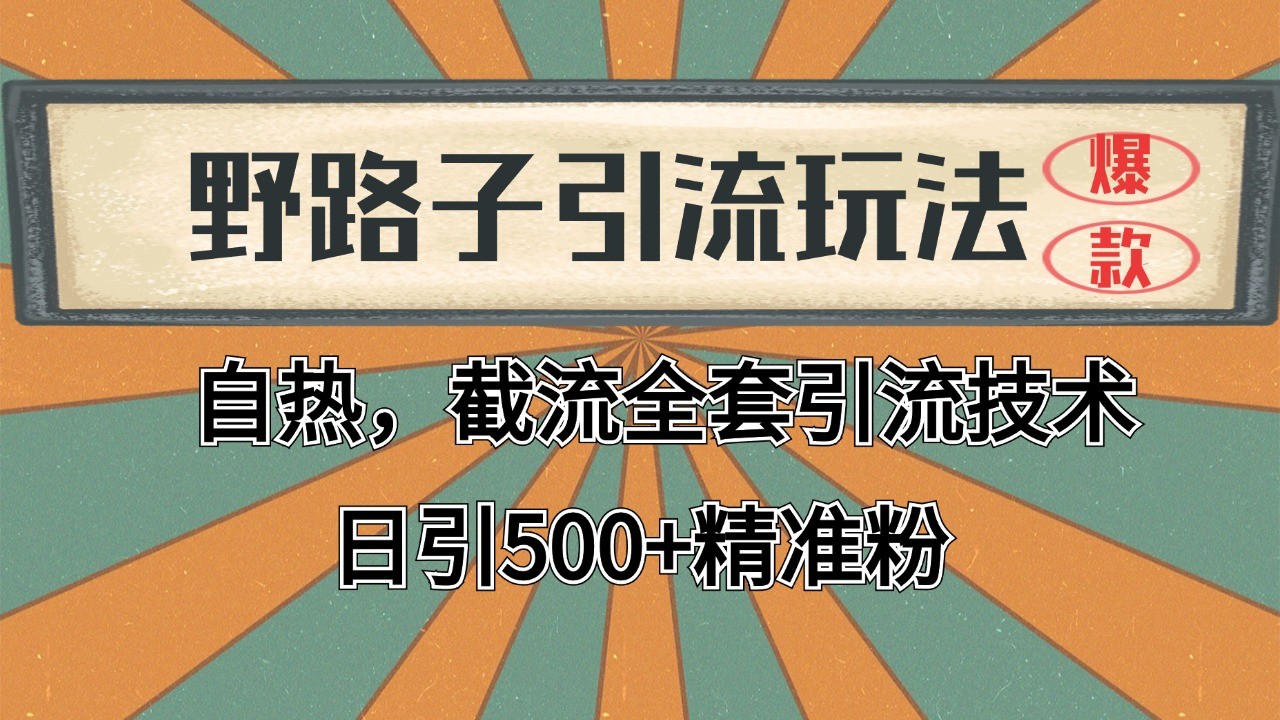2024首发野路子引流玩法截流自热全平台打法，全自动引流【日引2000+精准客户】-AI学习资源网