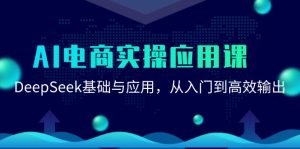 AI电商实操应用课:DeepSeek基础与应用,从入门到高效输出-AI学习资源网