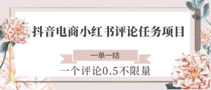抖音电商小红书评论任务项目,一个评论0.5,一单一结 不限量-AI学习资源网