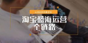淘宝蓝海运营全链路,从选品到流量变现,小类目突围完整方案-AI学习资源网