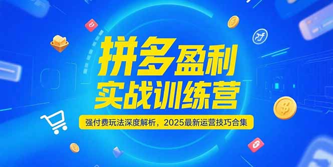 拼多多盈利实战训练营，强付费玩法深度解析，2025运营技巧合集-更新6月-AI学习资源网