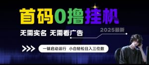 首码0撸挂G项目,无需实名无需看广告 一键启动运行,小白轻松日入三位数【揭秘】-AI学习资源网