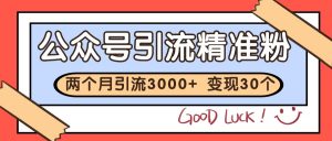 公众号私域获客,软文引流个人IP打造日引30+,快速沉淀起自己的私域流量池-AI学习资源网