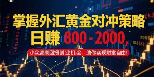 掌握外汇黄金对冲策略,日赚 800 – 2000,小众高回报创业机会,助你实…-AI学习资源网