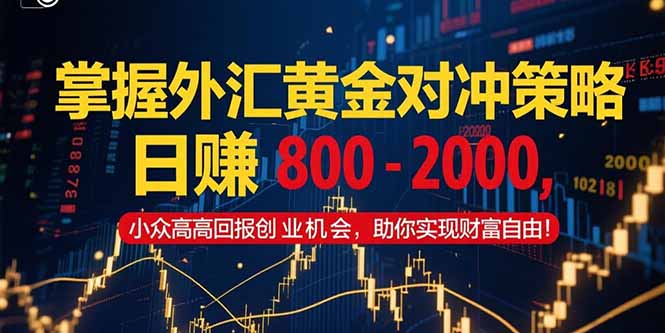 掌握外汇黄金对冲策略，日赚 800 – 2000，小众高回报创业机会，助你实…-AI学习资源网