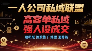 一人公司私域联盟，高客单私域，强人设成交，建私域 搞发售 广结盟 造势能-AI学习资源网