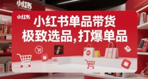 小红书单品带货,极致选品,打爆单品-AI学习资源网